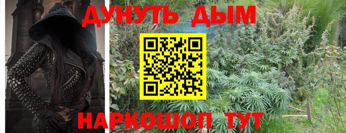 Бошки Шишки гибрид  Вход с VPN  Ростов Великий  Бошки Шишки White Widow  Конопля Amnesia 